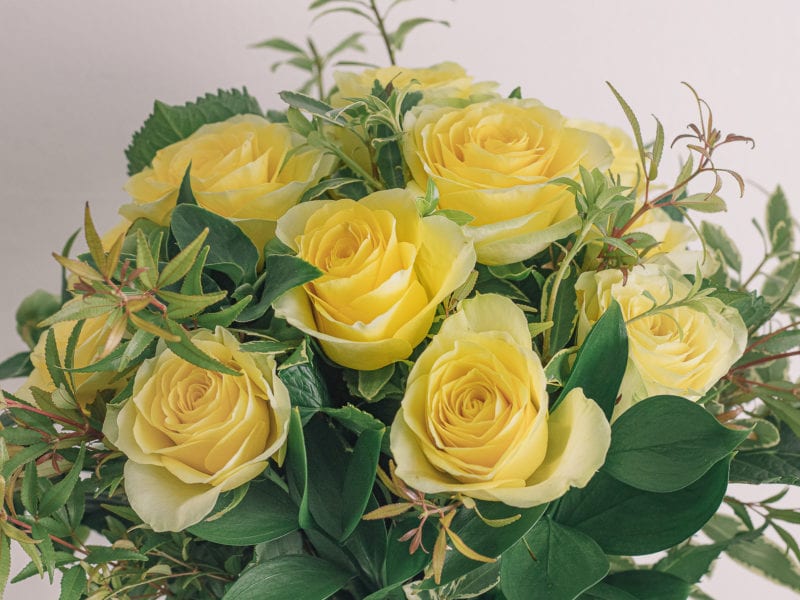 yellow roses