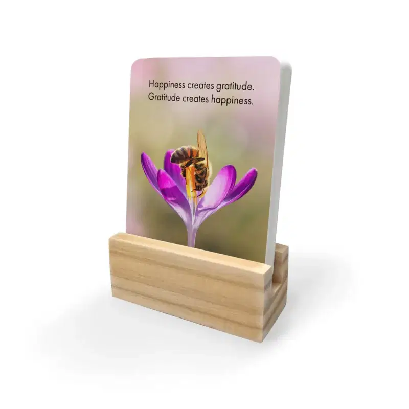 Just Bee Affirmation Cards - Image 2